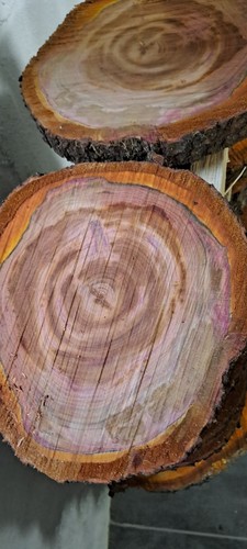 Holzscheibe zwetschge pflaume - holzscheibe, zwetschge/pflaume