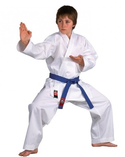 Dojo line karate - karate, dan