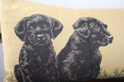 Labrador welpen - labrador,
