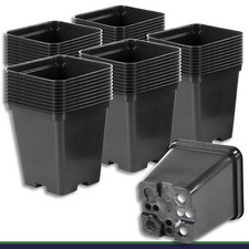 Pflanztopf 50 x 0,5 L schwarz