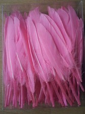 90 x Rosa Rose Pink Federn