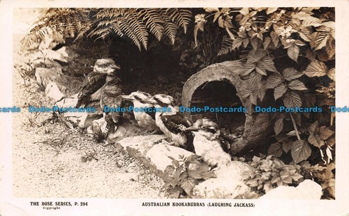 R133227 australian - r133227,