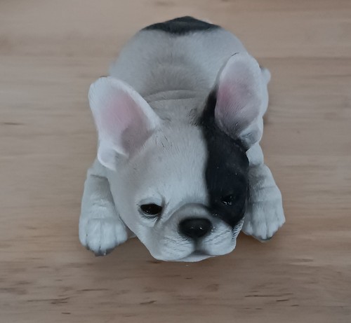 Deko figur bulldogge welpen - figur,