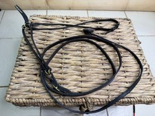 S/H Arab In-Hand Showing Filly Slip/Trense & Blei - braun