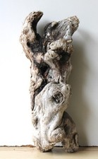 Treibholz Schwemmholz Driftwood  1 knorrige  Wurzel Dekoration Terrarium 36 cm
