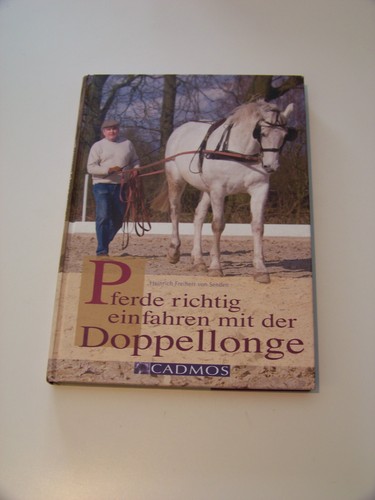 Pferde richtig einfahren - , mit