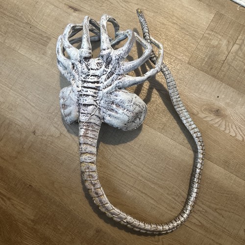 Alien covenant face hugger - alien,