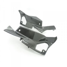 Carbon Motorabdeckung für