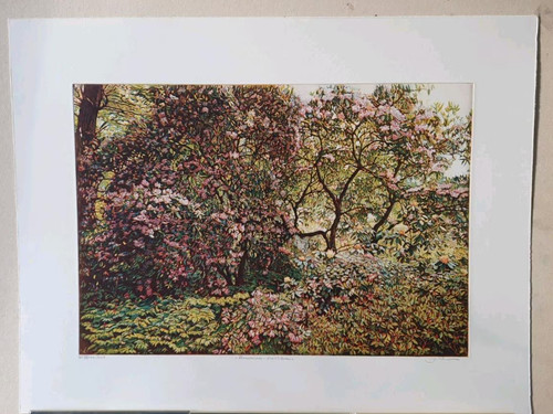 Radierung rhododendron - radierung, "rhododendron"