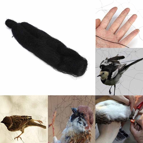 Net traps anti - anti-bird, catcher