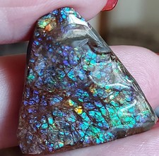 Blau-grüner Drachenschuppen Ammolit       (D13)