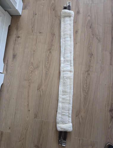 Showmaster sattellanggurt aus - showmaster,