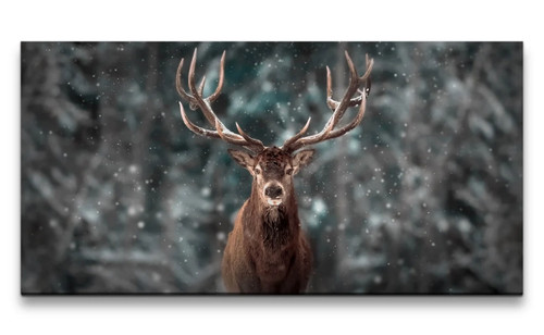 120x60cm leinwandbild hirsch - leinwandbild,