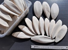 Auswahl Sepiaschalen / ca. 12