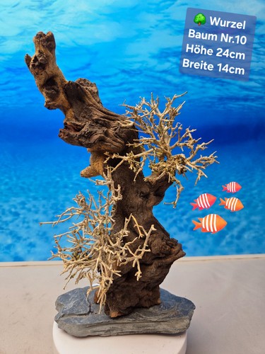 Top aquarium mopani - 🌳,