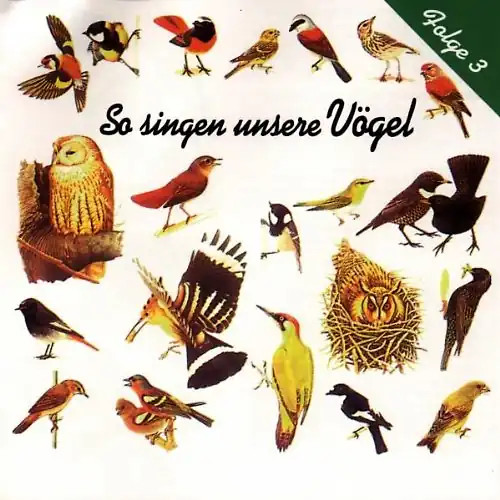Vogelstimmen so singen - -,