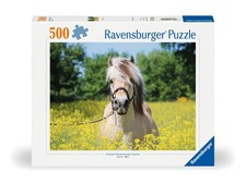 Erwachsenenpuzzle 500 Teile -