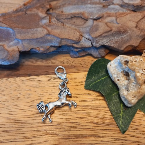 Charms mit karabiner - charms,