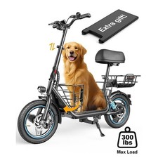 E Bike