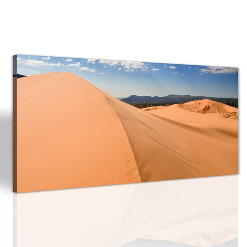 Korallen rosa sand düne - korallen,