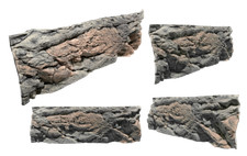 Back to Nature Rückwand