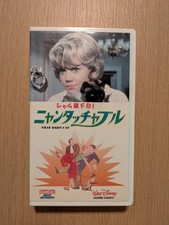 Selten super selten! Siamkatze