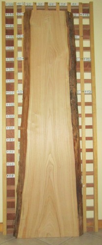 Kastanie bohle bastel - kastanie, bastel-