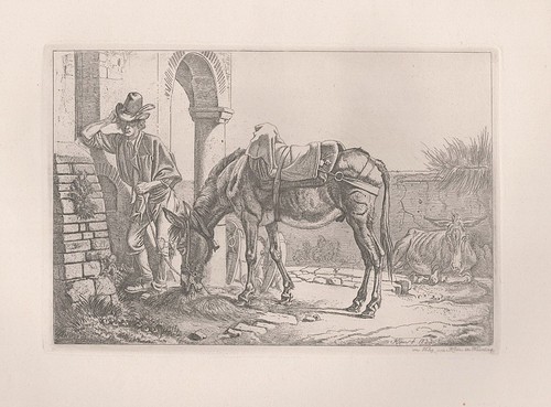 Maultier der säule mule - maultier, an