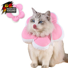 Katze Halskrause Einstellbar