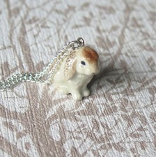 Süßer hase kaninchen - hase,