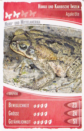 Netto ozeanien - netto,