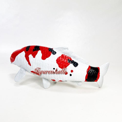 Showa sanshoku koi karpfen - koi,