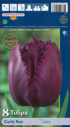 Tulpen - @//(◕‿◕)\@,