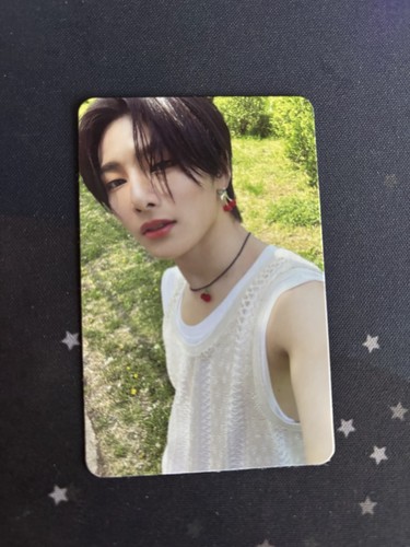 Stray kids maxident - stray,