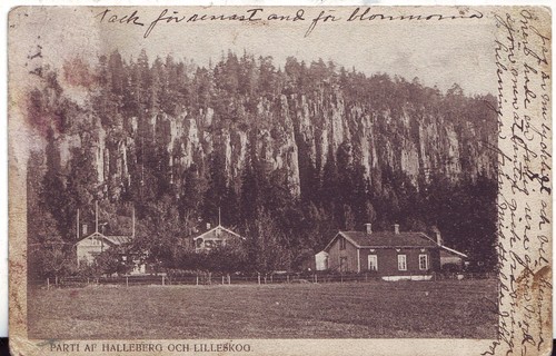 Schweden lilleskog halleberg - schweden,