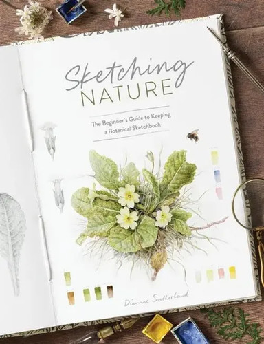 Dianne sutherland sketching - sutherland, |