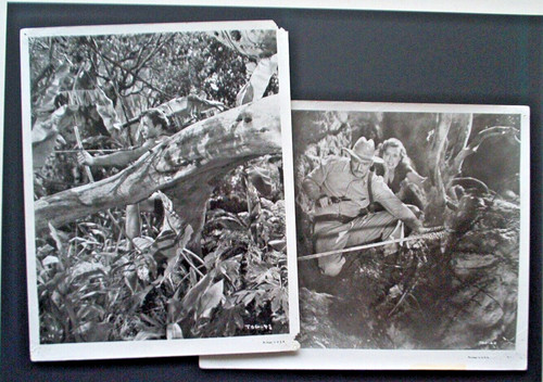Aushangfoto tarzan blaue - 2x,
