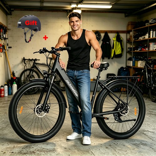 29zoll elektrofahrrad herren - 29zoll,