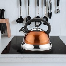 Edelstahl Pfeifkessel