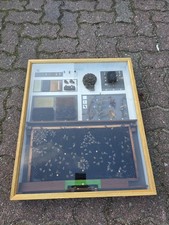 Insektensammlung Schaukasten