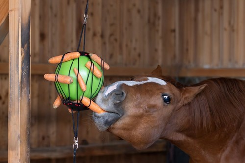 Kerbl therapie spielball für - kerbl,