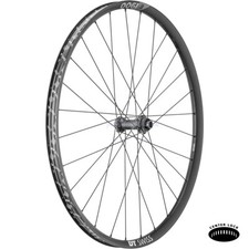 DT SWISS E 1900 SPLINE VORDERRAD +29" TUBELESS 100mm TA 15mm PLUS MOUNTAIN BIKE
