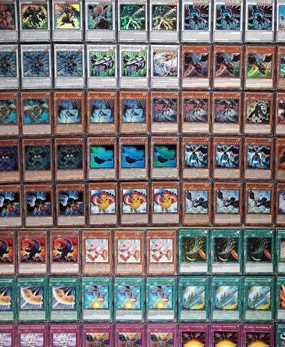 Schwarzflügel deck karten - deck,