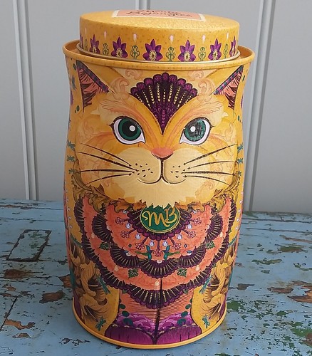 Monty bojangles katze - katze, dose