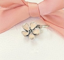 Original Pandora Anhänger