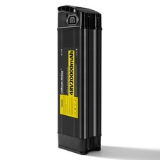 48V20Ah Lithium Battery for