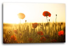 Wandbild Blumenbilder