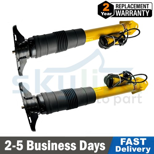 Federbeine hinten links - hinten,