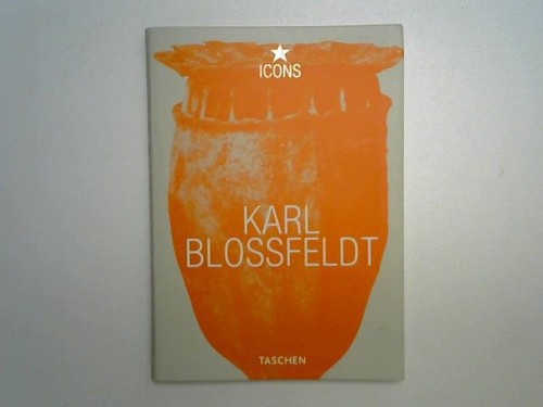 Karl blossfeldt 1865 1932 - blossfeldt,