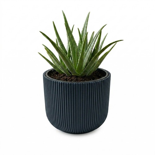 Prosperplast blumentopf - prosperplast,